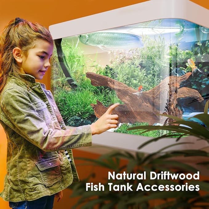 Jorewood Natural Small Aquarium Driftwood - Image 4