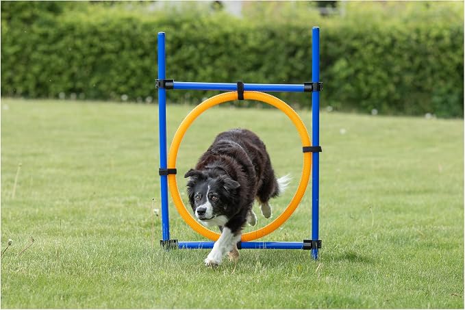 TRIXIE Dog Agility Ring, Portable Dog Hoop, Obstacle Course Equipment, - Image 2