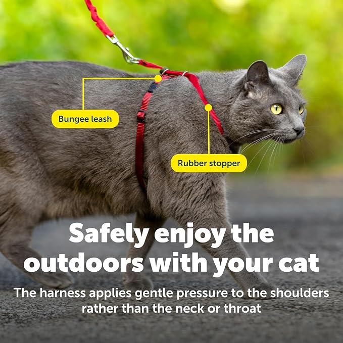 PetSafe Come With Me Kitty Harness and Bungee Leash - Image 5