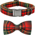 Dog Collar - Thanksgiving Turkey Dog Collar Bowtie Gift Soft Bow Adjustable by BoboRainbow