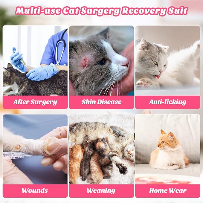 Cat Recovery Suit for Abdominal Wounds or Skin Diseases, Cat Onesie for Cats - Image 5