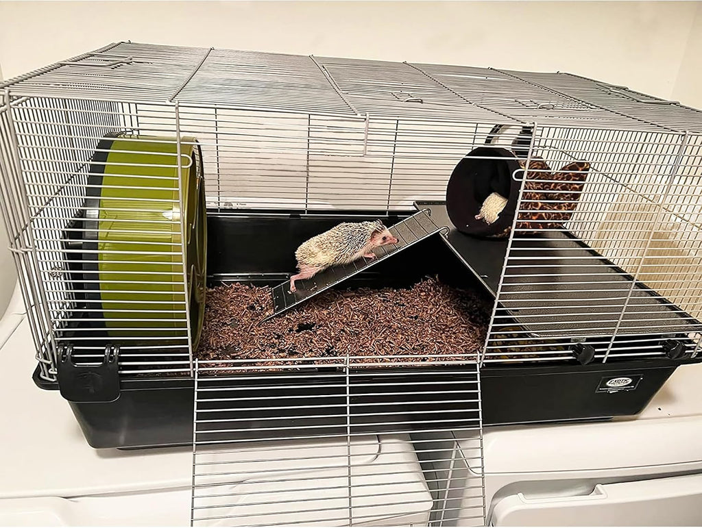 Exotic Nutrition Hedgehog Home & Starter Package - GlobalHabitat Supply