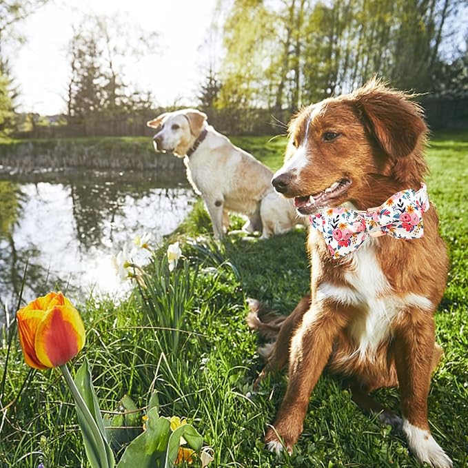 Lionheart glory Dog Collar Bow Collar Floral Dog Collar - Image 6