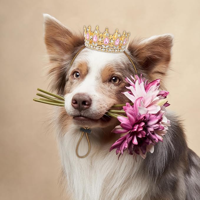 Abbylike Pet Rhinestone King Crown, Queen Crown - Image 5