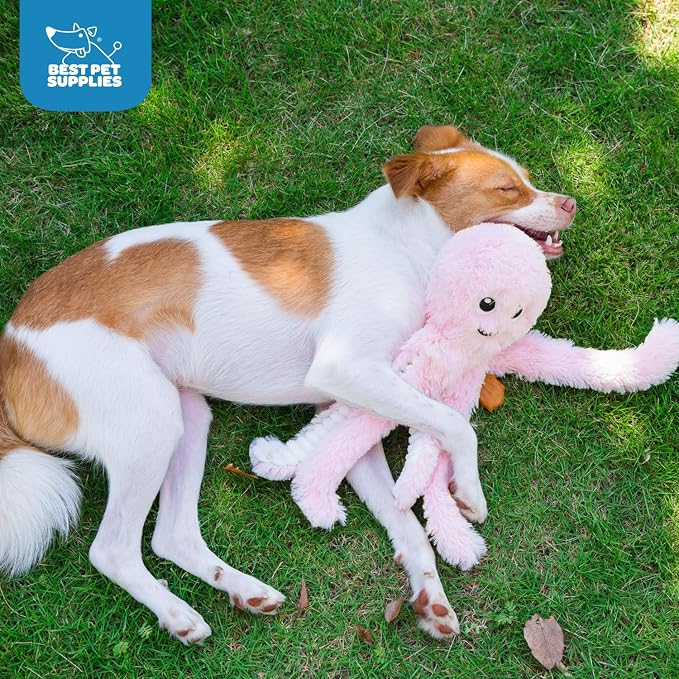 Best Pet Supplies Interactive Squeaky Dog Chew Toy, Ideal Dog Toys - Image 5