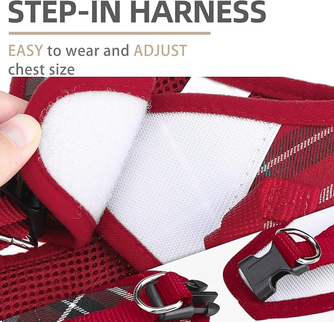 PUPTECK Adjustable Pet Harness Collar and Leash Set Step in - Image 3