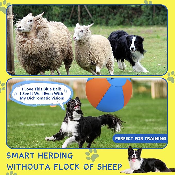 Herding Ball for Dogs and Horses - Image 3