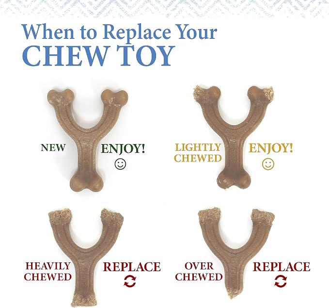 Nylabone Gourmet Style Stick Strong Chew Toy - Image 11