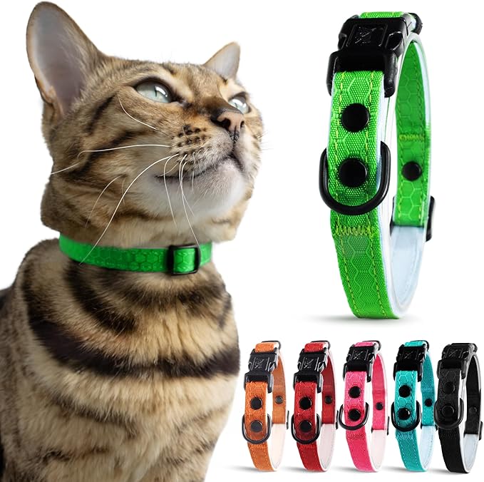 OutdoorBengal Green Breakaway Kitten Collar by OutdoorBengal