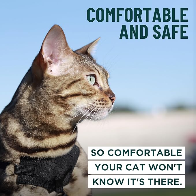 Houdini™ Escape Proof Kitten Harness and Leash Set by OutdoorBengal – Black - Image 4