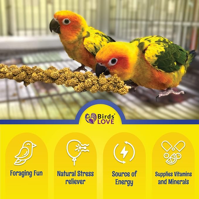 Birds LOVE Economy Special Spray Millet GMO-Free - Image 4