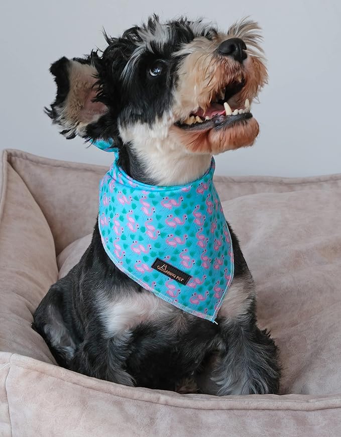 ARING PET Summer Dog Bandanas, Turquoise Flamingo Kerchief Triangle Bibs Scarf - Image 4