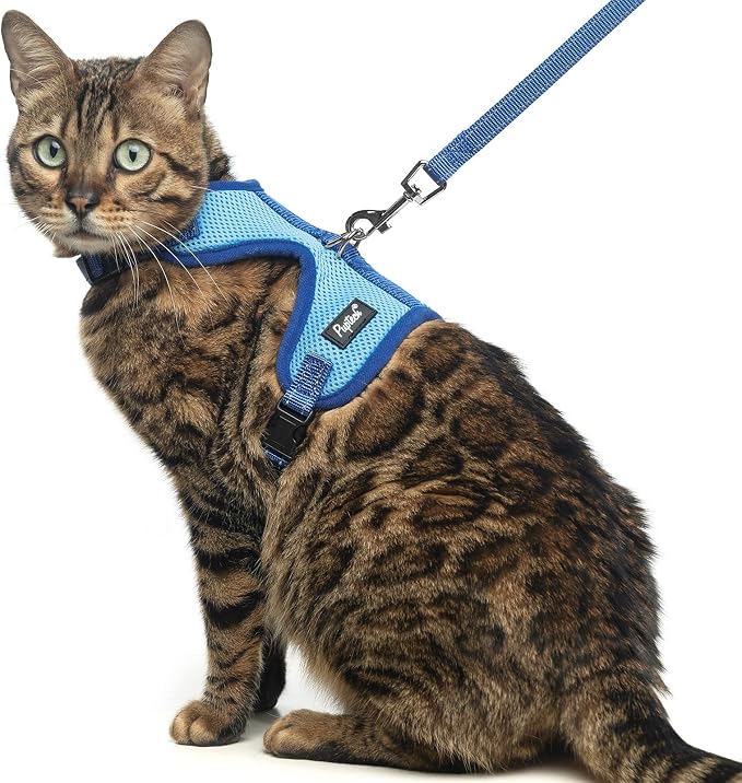 PUPTECK Cat Harness and Leash Set Escape Proof, Reflective Adjustable Soft Mesh by PUPTECK