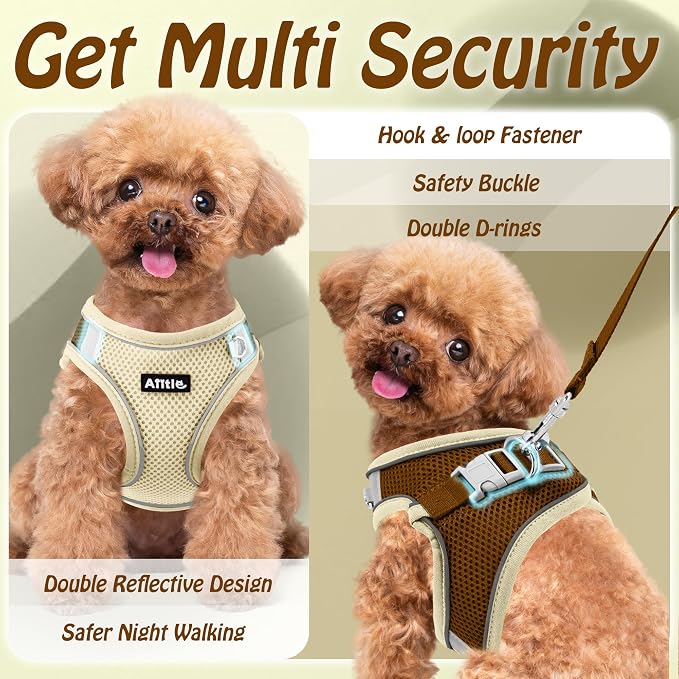 AIITLE Easy Walk Dog Harness and Leash Set - Image 4