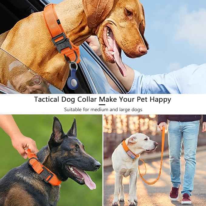 DAGANXI Tactical Dog Collar, Adjustable Military Training Nylon Dog Collar