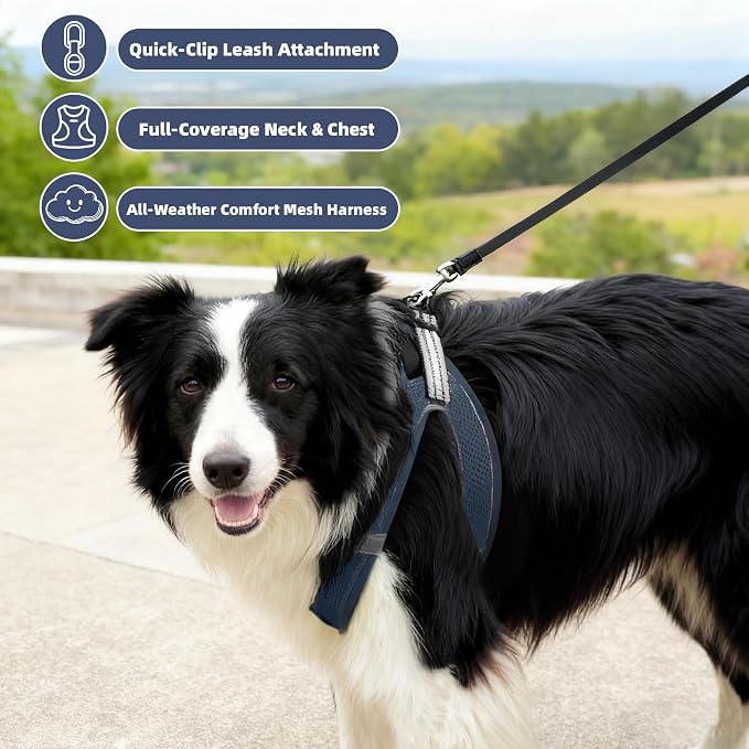 ROYPET Step-in Air Dog Harness, All Weather Mesh Step in Vest Harness - Image 3