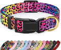 Reflective Dog Collar for Extra Small Dogs Cats, Cute Leopard Style Adjustable by TMOODEL