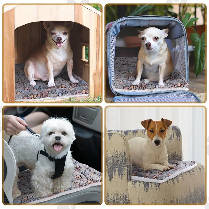 Tuanse 4 Pack Ultra Soft Dog Cat Bed Mat Small Animal Guinea Pig Bed - Image 6