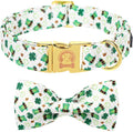 MR. CHUBBYFACE St.Patrick's Clover Dog Collar by MrChubbyfacePetSupplies