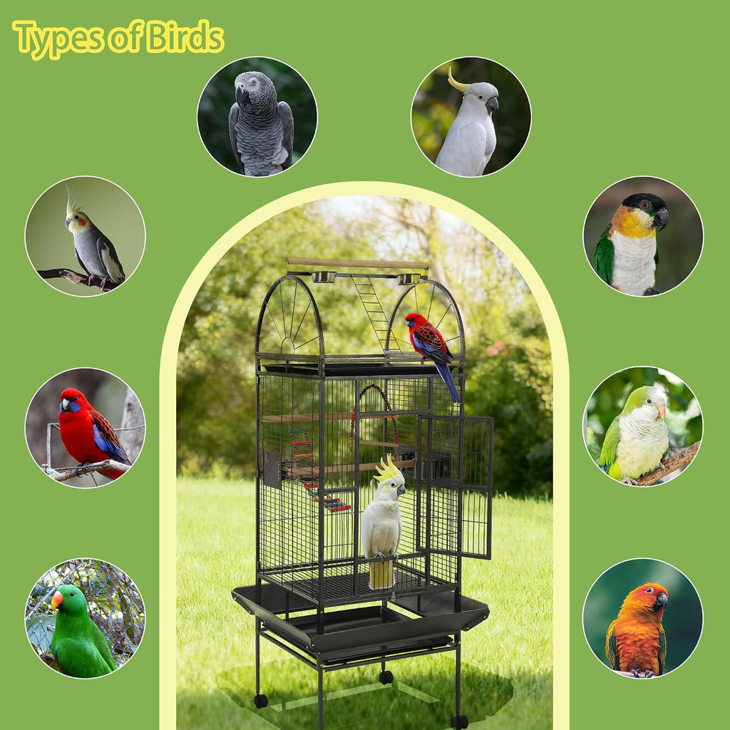 68'' Large Parrot Cage, Large Bird Cages for Parrots,Conure Cage for - GlobalHabitat Supply