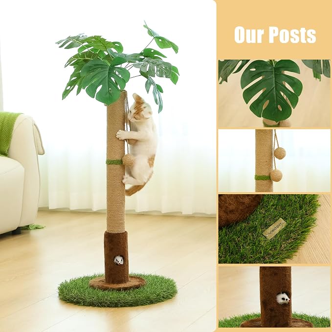 Cat Scratching Post for Indoor Cats and Kitten - Image 7