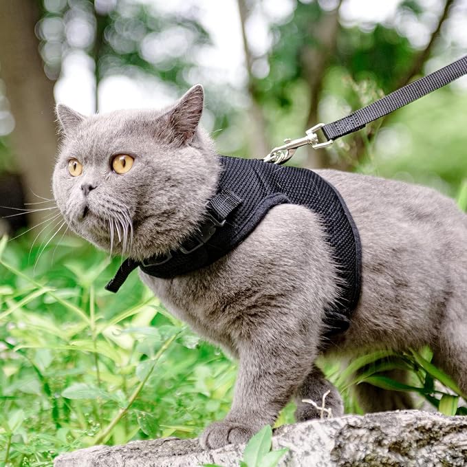 PUPTECK Soft Mesh Cat Vest Harness and Leash Set Puppy Padded Pet Harnesses - Image 6