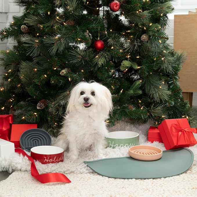 Should We Go -Waterproof Silicone Pet Food Mat - Image 7