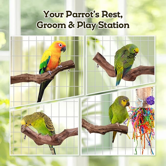 Bird Toys, Parakeet Foraging Toys, Hanging Chewing Toys - Image 4