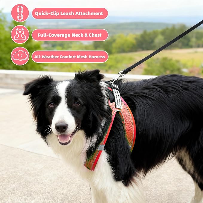 ROYPET Step-in Air Dog Harness, All Weather Mesh Step in Vest Harness - Image 3