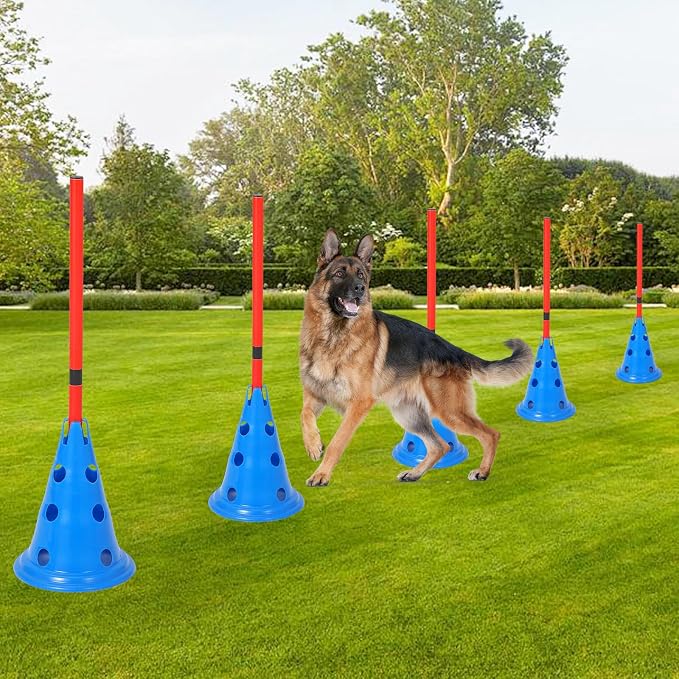 Garvee Dog Agile Hurdle Cone Set, Dog Training Agile Equipment - Image 6