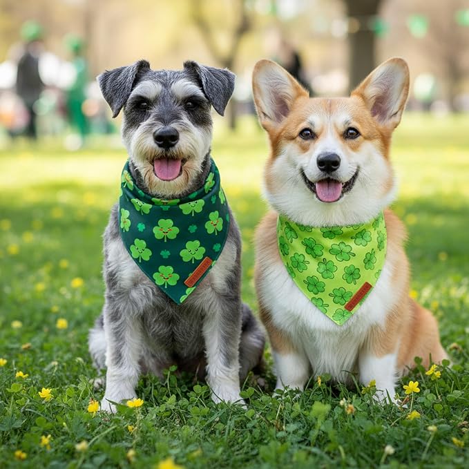 ADOGGYGO St Patrick Dog Bandana 2 Pack, Reversible Shamrock Pet Scarf Bib - Image 3