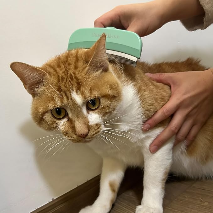 Pet Deshedding Tool with Curve Blade, Cat Grooming Brush, Tight V-shaped Teeth - Image 7