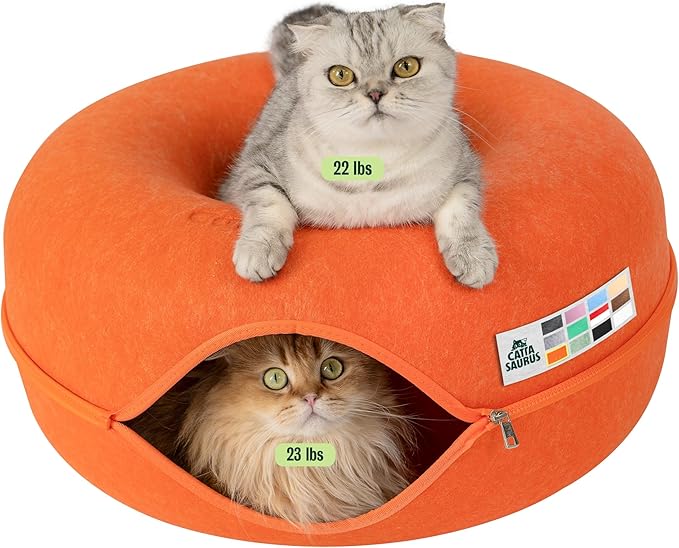 Cattasaurus Peekaboo Cat Cave Donut by Cattasaurus