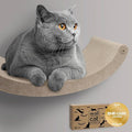 Wall Mounted Cat Hammock Bed by Pryde Pets by PrydePets