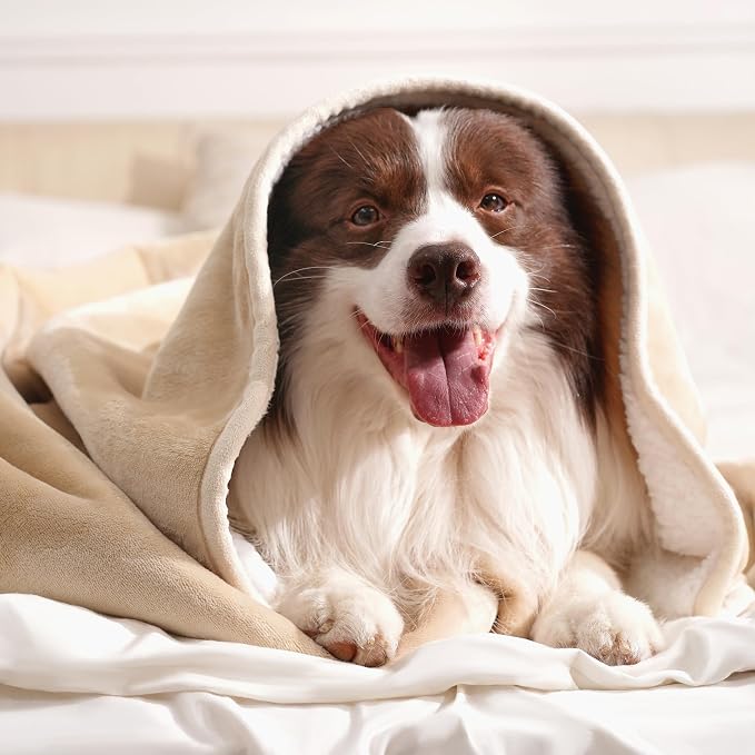 gogobunny Dog Blanket, Waterproof Reversible Sherpa Fleece Throw Blanket - Image 6