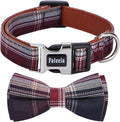 Faleela Soft &Comfy Bowtie Dog Collar, Detachable and Adjustable Bow Tie Collar by Faleela