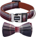 Faleela Soft &Comfy Bowtie Dog Collar, Detachable and Adjustable Bow Tie Collar by Faleela