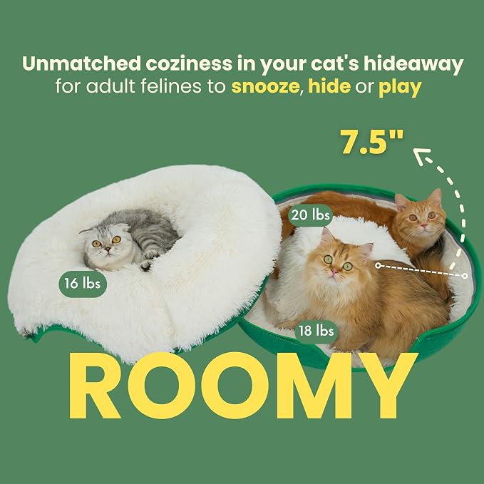 CATTASAURUS Peekaboo Cat Cave for Multiple & Large Cats Up to 30-45 Lbs - Image 7