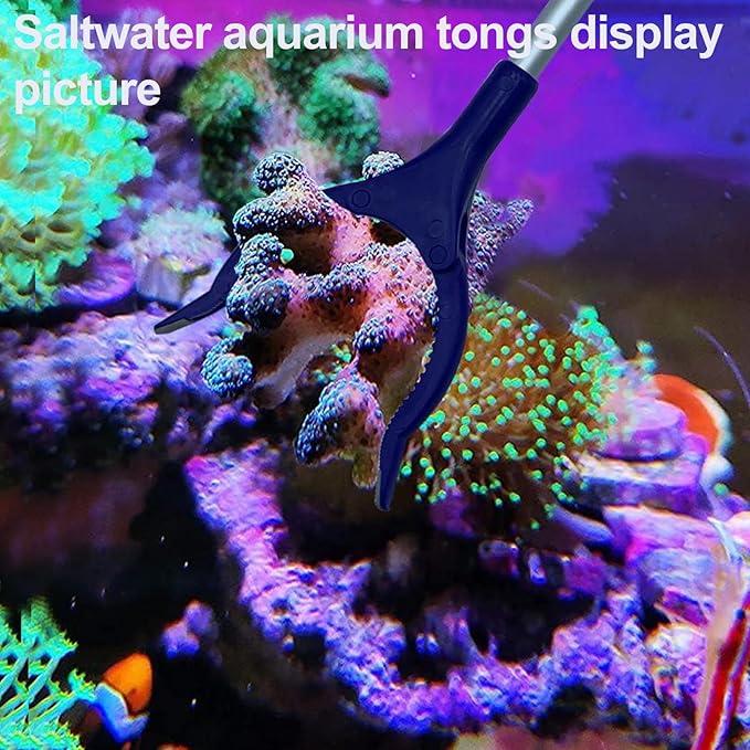31.5Inch Long Corals Grabber, reefs Feeders, Aquarium Veggie Feedting Tool - Image 2