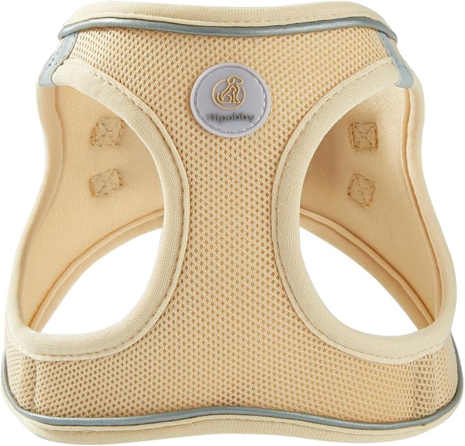 Hipubby Dog Harness and Leash Set, No Pull Soft Mesh Puppy Harness - Image 2