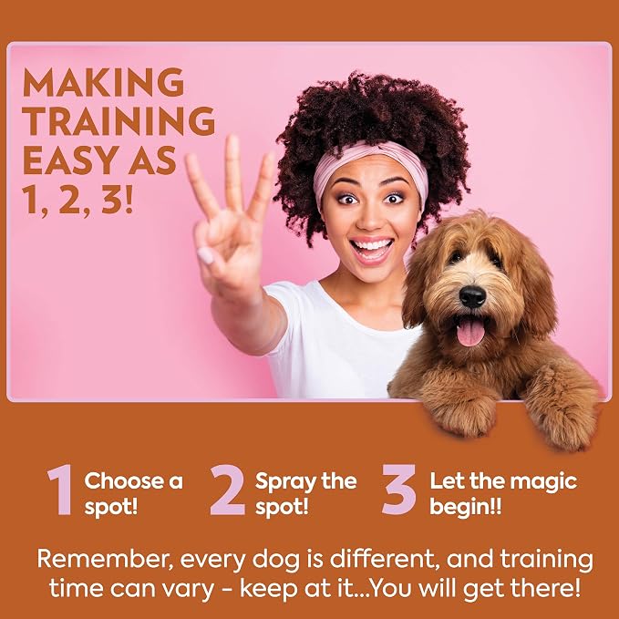 OUT! PetCare Go Here Attractant Dog and Puppy Potty Training Spray, Safe & - Image 5