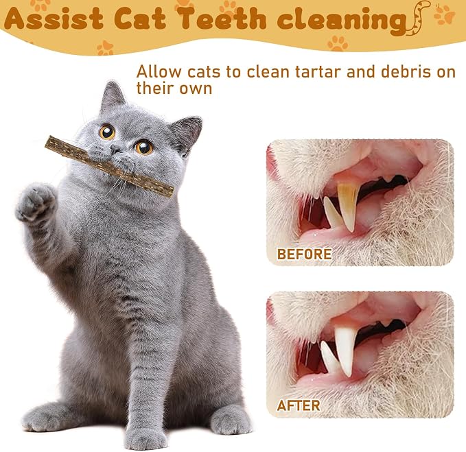 Silvervine Sticks for Cats, Natural Catnip Matatabi Chew Sticks Teeth Molar - Image 5