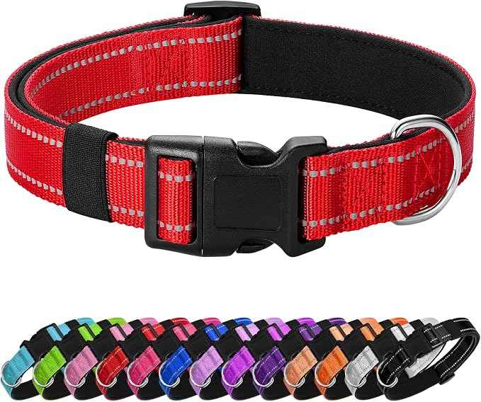 Reflective Dog Collar Padded