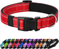 Reflective Dog Collar Padded by Penseepet