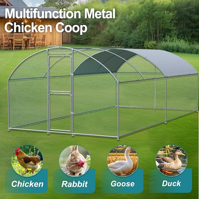 Large Chicken Coop, Chicken Coops - Image 2