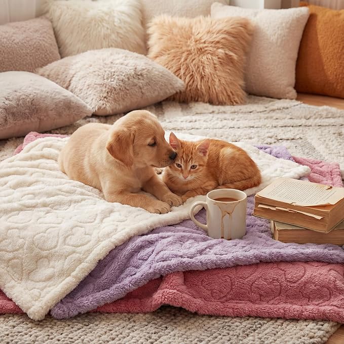 Tegeme 3 Pcs Small Dog Blanket 280 GSM Washable Pet Bed Cover Soft Fluffy Puppy - Image 6
