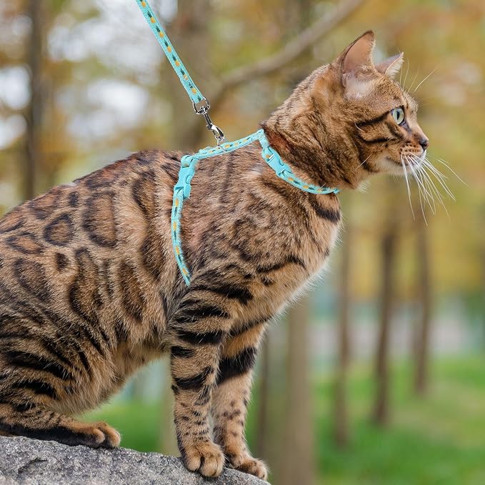 PUPTECK Adjustable Cat Harness and Leash Set Escape Proof Kitten Strap Collar - Image 7