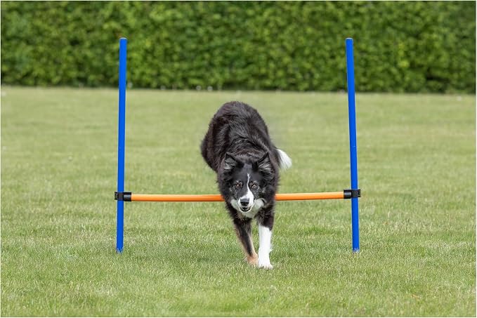 TRIXIE Agility Hurdle Adjustable Dog Jump, Dog Obstacle Course Equipment 1 x - Image 6