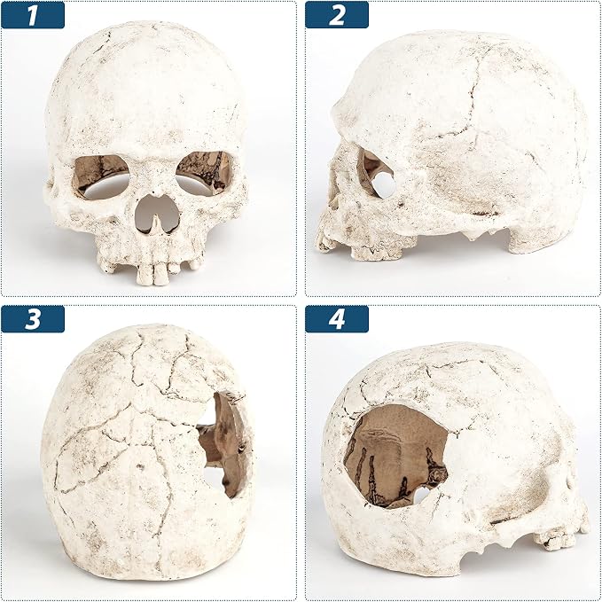 Uniclife Aquarium Skull Reptile House Decor Resin Head Skeleton Ornament - Image 4