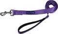 Downtown Pet Supply 6ft Dog Leash by DowntownPetSupply